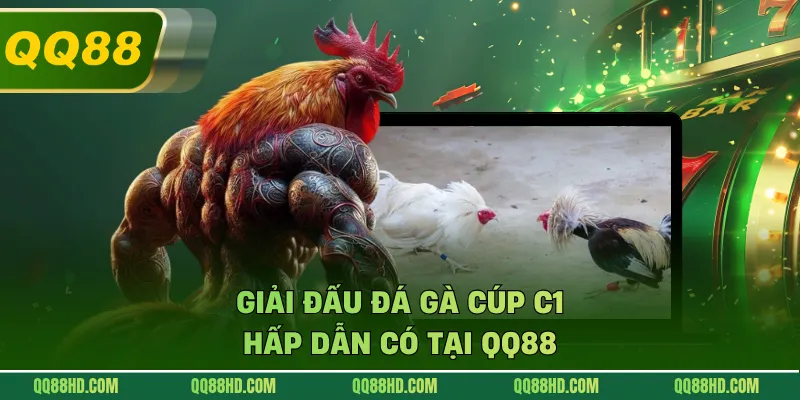Giải đấu đá gà cúp C1 hấp dẫn có tại QQ88