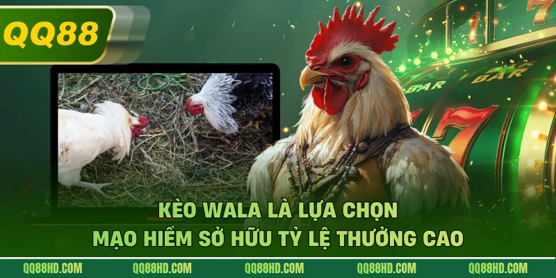 Kèo Wala là lựa chọn mạo hiểm sở hữu tỷ lệ thưởng cao