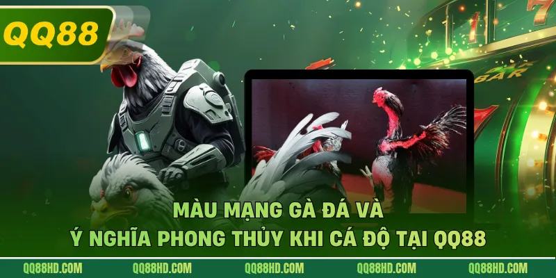 Màu Mạng Gà Đá Và Ý Nghĩa Phong Thủy Khi Cá Độ Tại QQ88