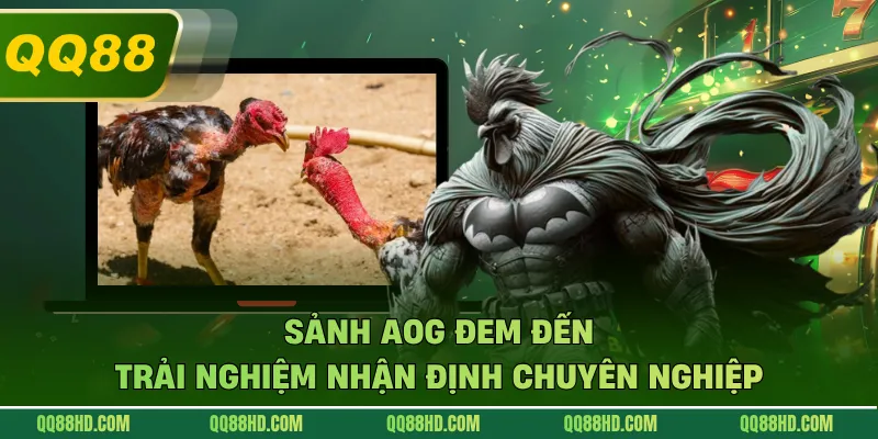 Sảnh AOG đem đến trải nghiệm nhận định chuyên nghiệp