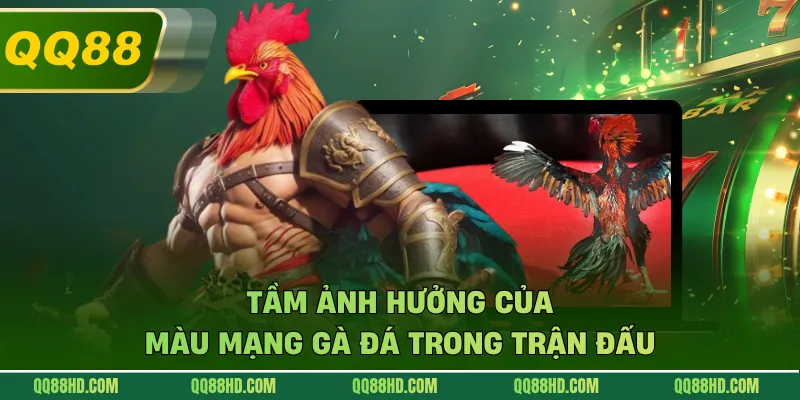 Tầm ảnh hưởng của màu mạng gà đá trong trận đấu